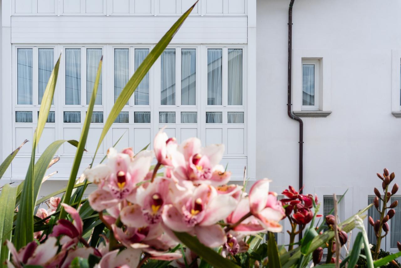 La Casa De Las Camelias Busto Екстер'єр фото